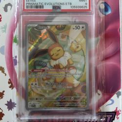 Pokemon Eevee #173