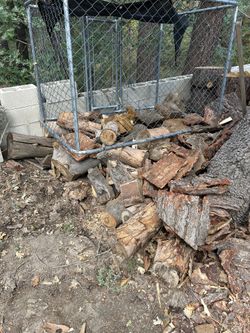 Ready To Burn Firewood Pine & Eucalyptus