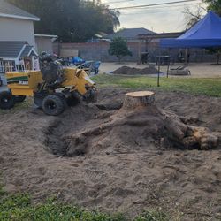 Stump Grinding, Tree S-e-r-v-i-c-e Messge