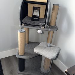Cat post & Stand