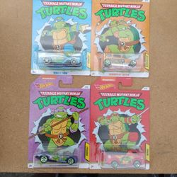 Teenage Mutant Ninja Turtles - Hot Wheels  Set.  ( TMNT Box )