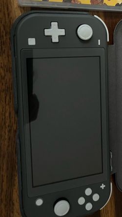 Switch lite