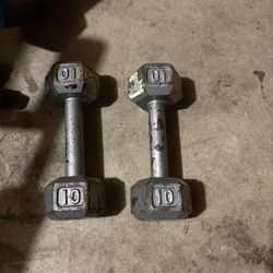 10 lb Dumbbells