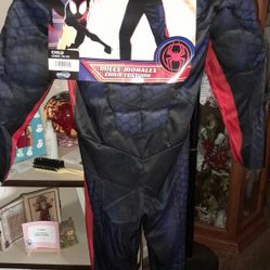 Costume