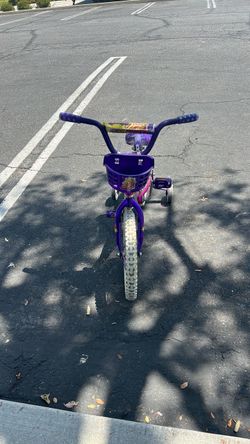 Kids Purple Bike with Training Wheels