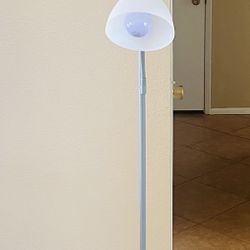 2 Light Floor Lamp