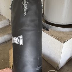 Punching Bag