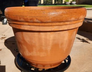 Large clay pot
