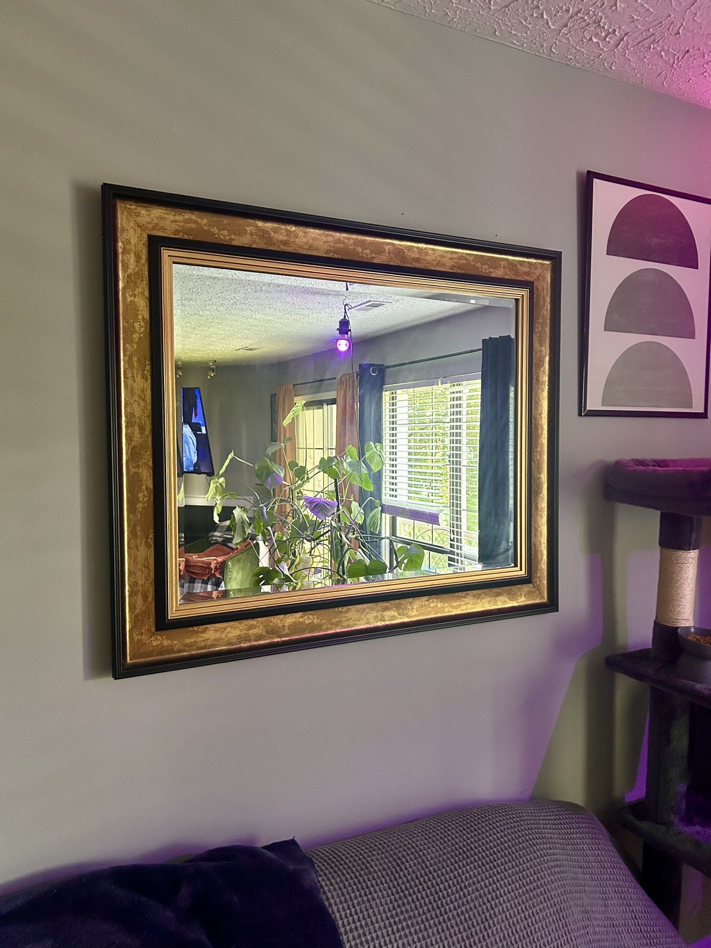 Antique Gold Framed Mirror