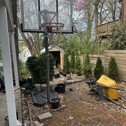 Basketball Hoop  With Brand New Baskekball 