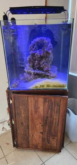 Fish Tank