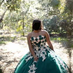 Quinceañera / Ball Gown Dress with Crown and Hoop Skirt