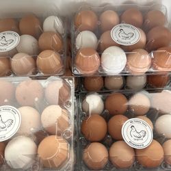Organic Free Range Eggs And Chickens And African Guineas 