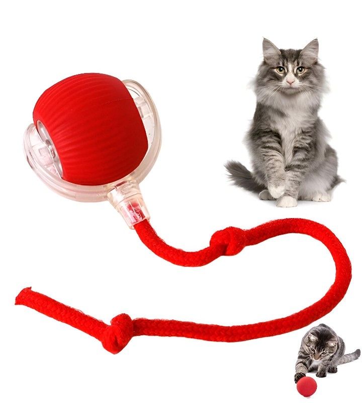 Automatic Rolling Ball Smart Cat Dog Toy Electric Pet Self-moving Kitten Game US