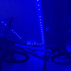 Reid Mountain Bike