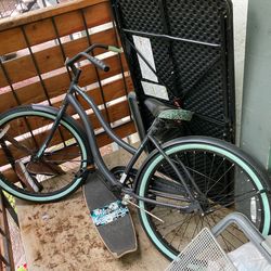 Beach Cruiser