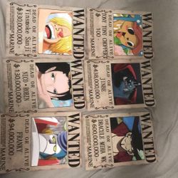 One Piece  Wanted Poster