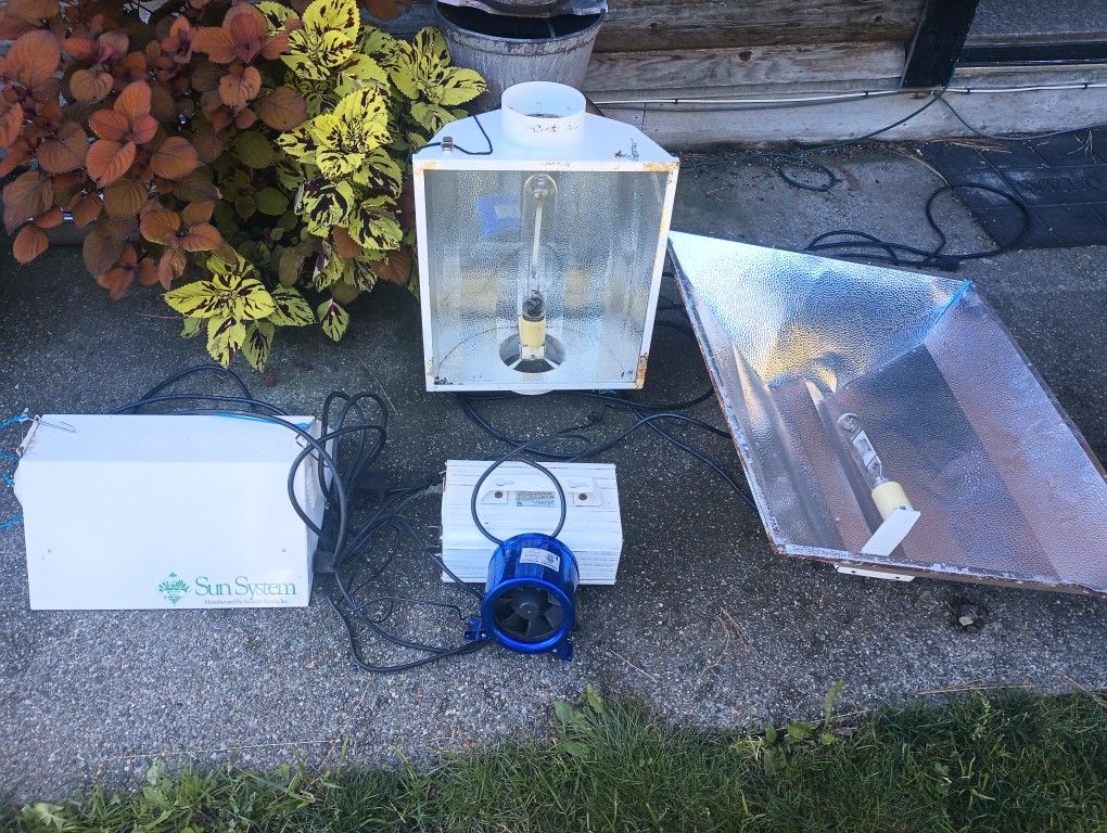 Grow Lights For All Your Growing Needs