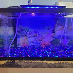 Fish Tank 10gallon 