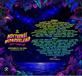 Nocturnal Wonderland Wristband