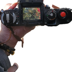 nikon f3 hp with 50mm1.4