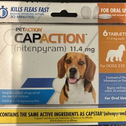 Flea And Tick 