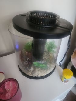 Fish tank