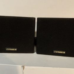 Vintage Fisher Sound System speaker