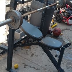 Weight s.   Bench 45lbs Barb