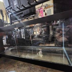 Fishtank (25-30 Gallons)