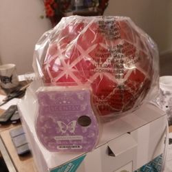 Huge Christmas Star Gazer 