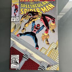 Spectacular Spider-Man #193