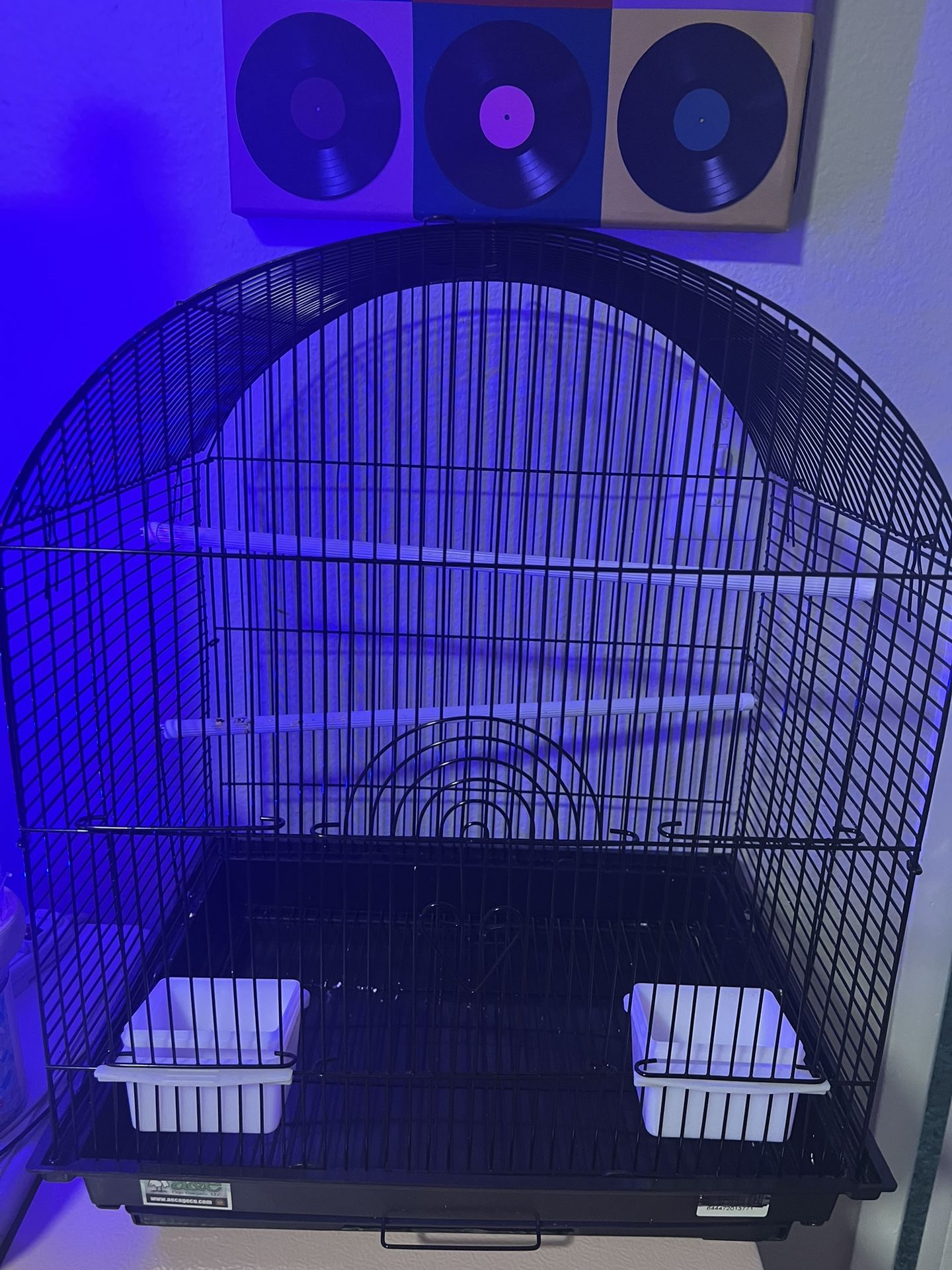 Bird Cage