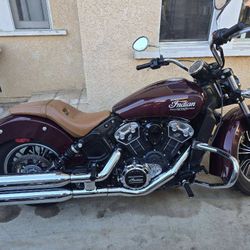 2022 Indian Scout