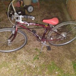 Adult Bike Automatic Gear 