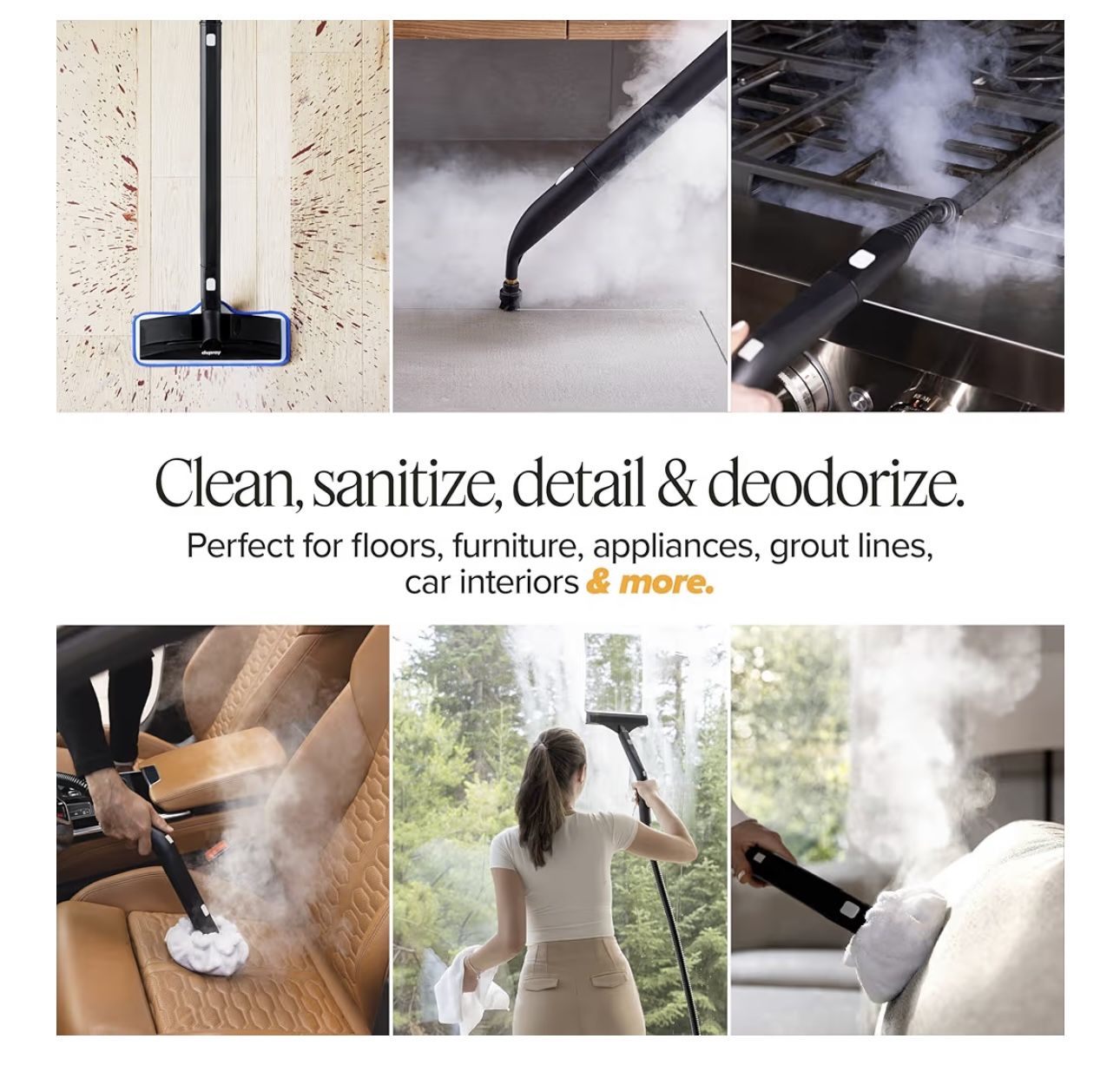 Dupray Steam Cleaner
