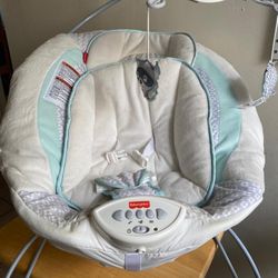 Baby Bouncer