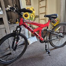 Bucicleta Para Niño Joven 