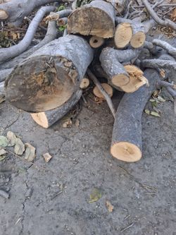 Fire wood
