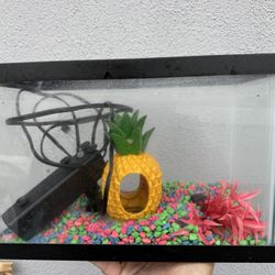 Aquarium With Pump 