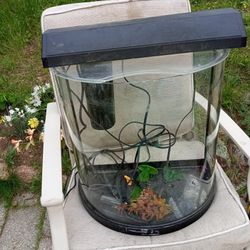 Fish Aquarium  With All Asseseries  29 Gallon