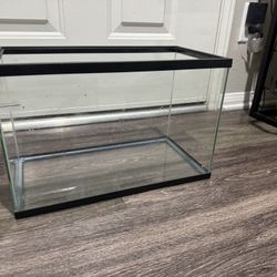 5 Gallon Tank And Betta Supplies