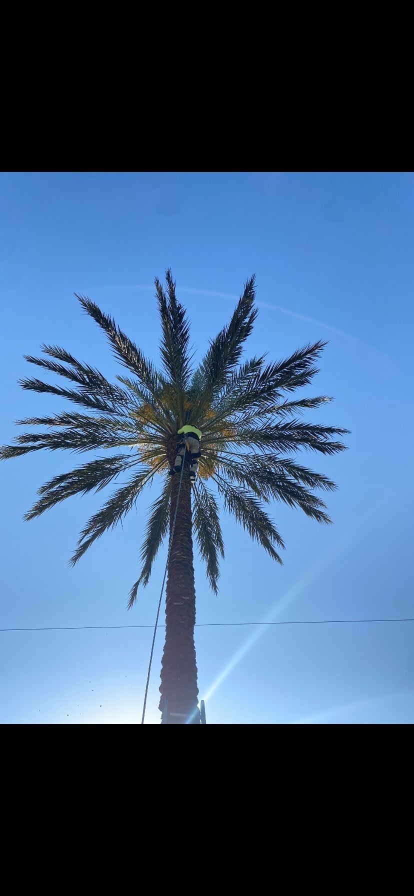 All Vegetation Call (contact info removed)