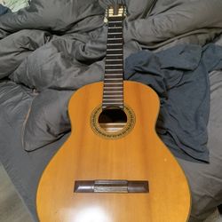 Acoustic Guitar