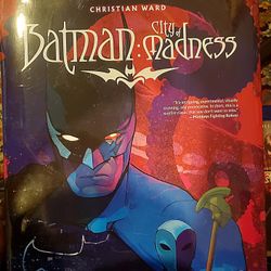 Batman: City Of Madness 