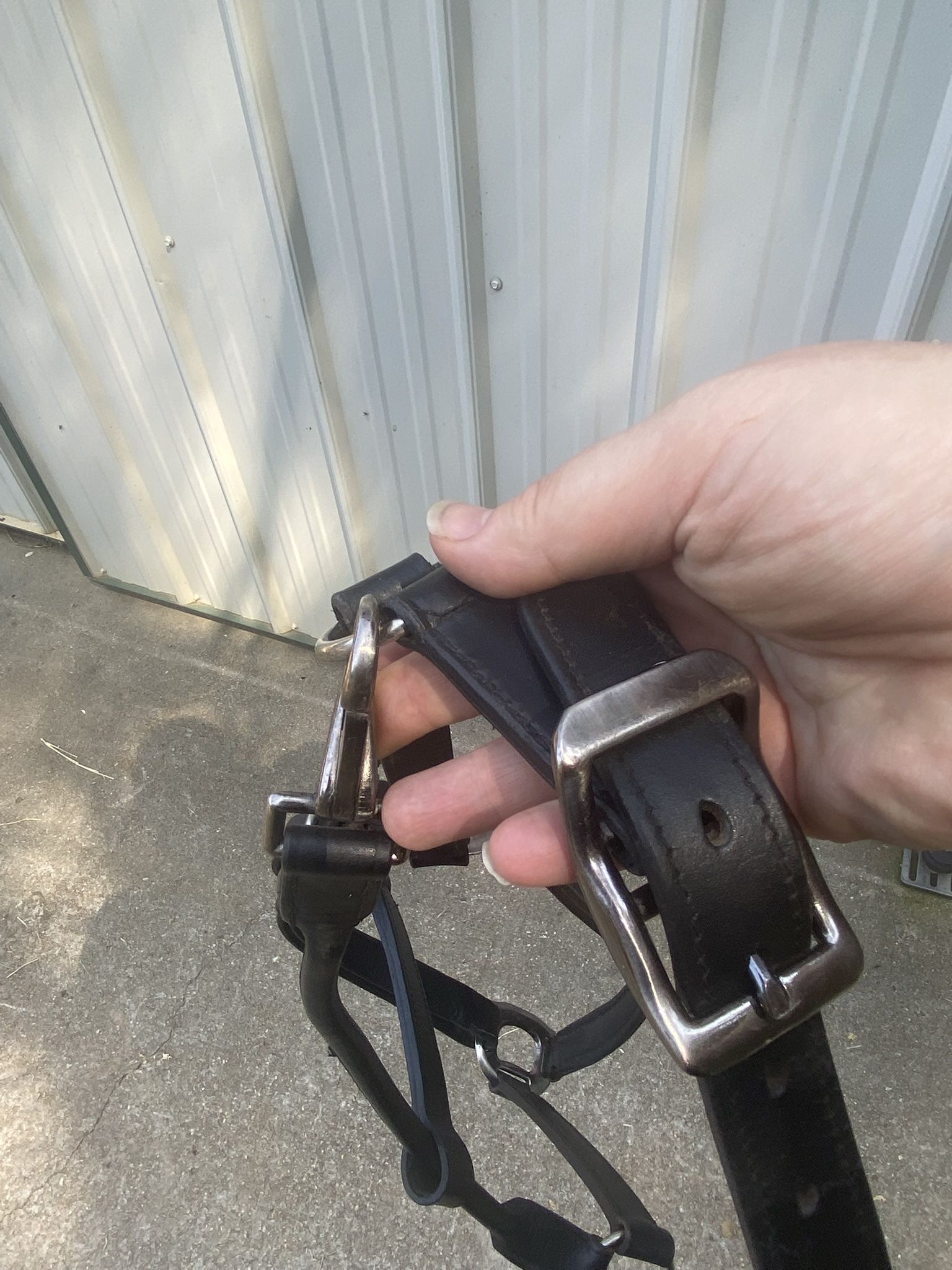 Black Leather Halter- Padded Crown And Noseband