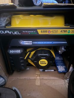 Champion 5300W Dual Fuel Portable Generator (#201279)