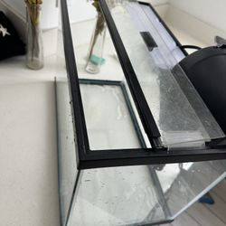 10 Gallon fish Tank . With Filter And Heater . 