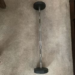 Straight Curl Bar 40lbs