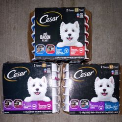 Three 12-pack Boxes Of Cesar Dog Food